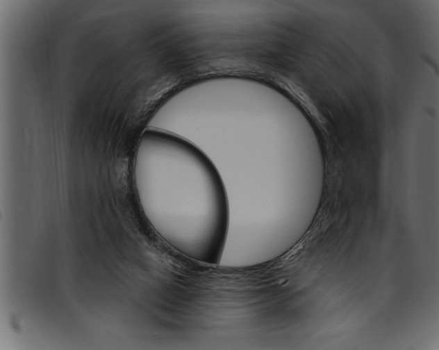 X0000094920066200711291032