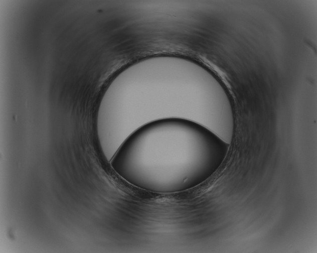 X0000094920067200711291032