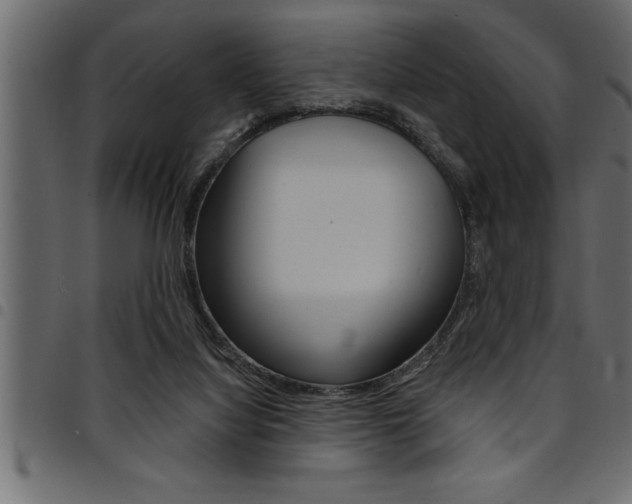 X0000094920068200711291032