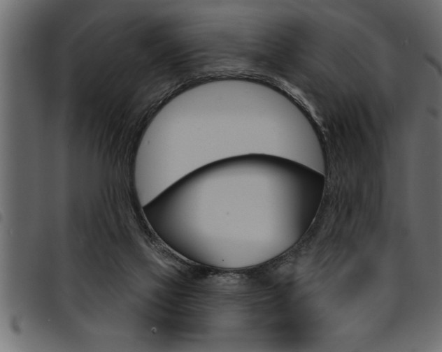 X0000094920069200711291032