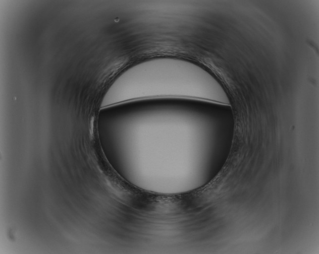 X0000094920070200711291032