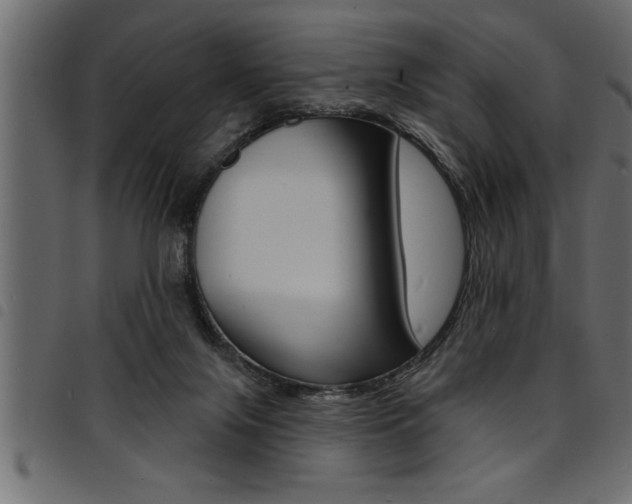 X0000094920071200711291032