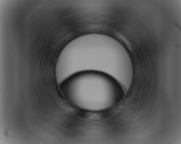 X0000094920073200711291032