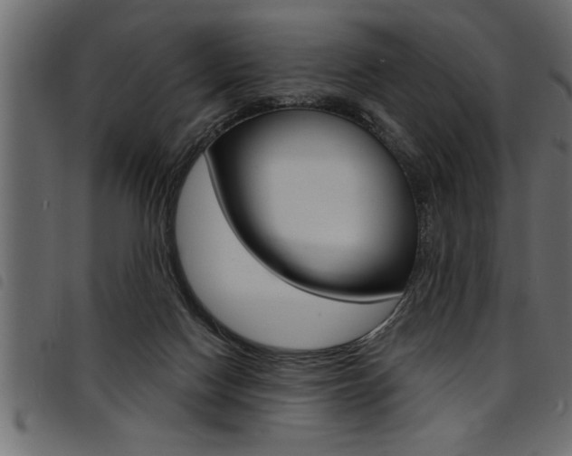 X0000094920074200711291032