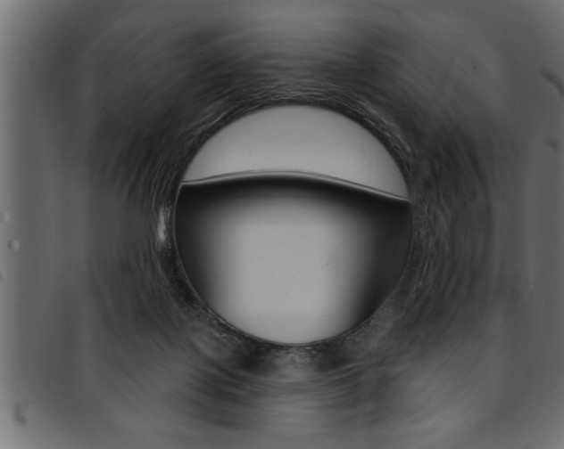 X0000094920075200711291032