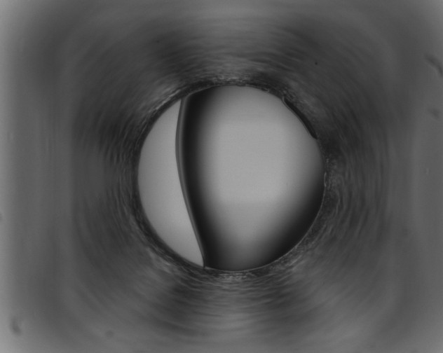 X0000094920076200711291032