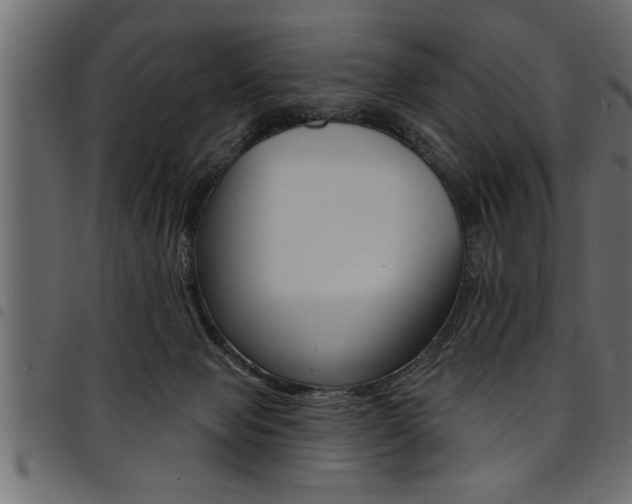 X0000094920077200711291032