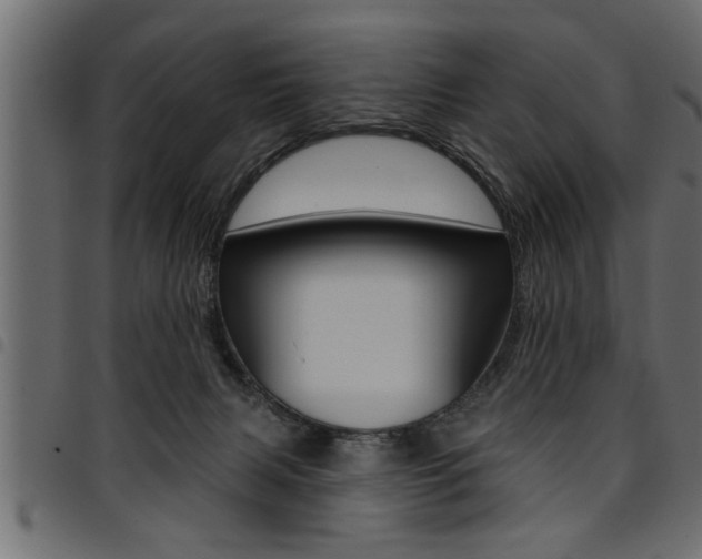 X0000094920079200711291032