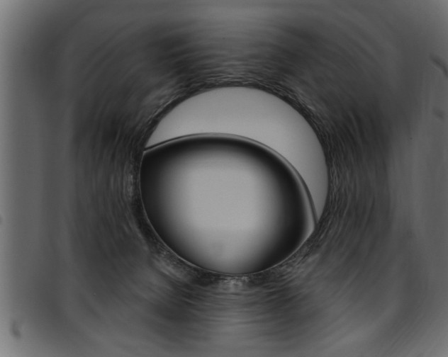 X0000094920080200711291032