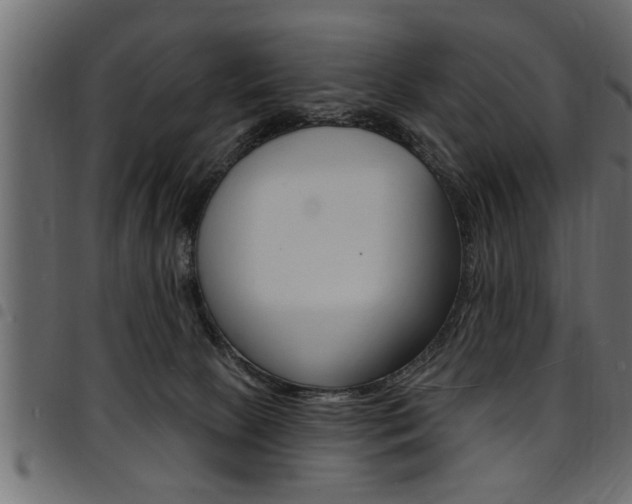 X0000094920081200711291032