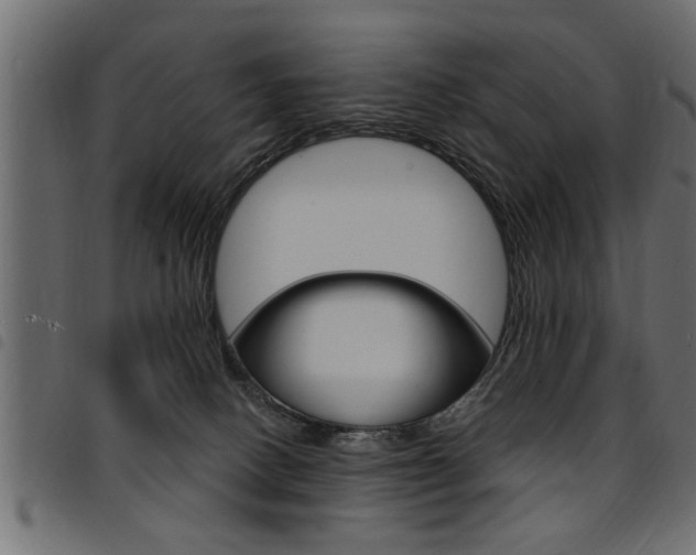 X0000094920082200711291032