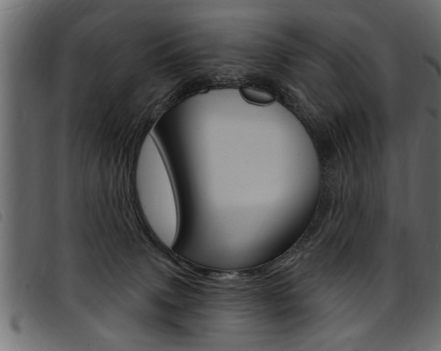 X0000094920083200711291032