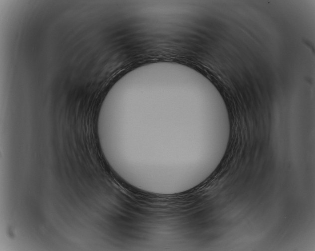 X0000094920084200711291032