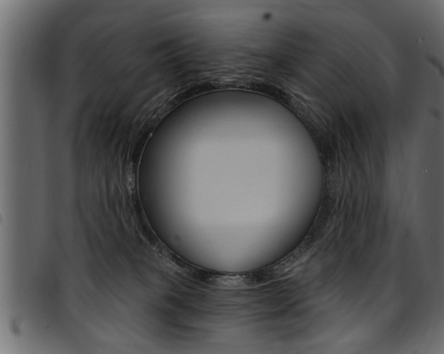 X0000094920085200711291032