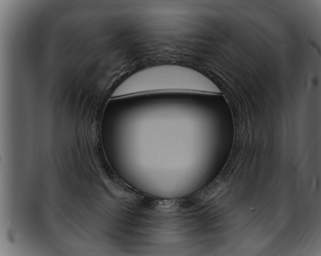X0000094920088200711291032
