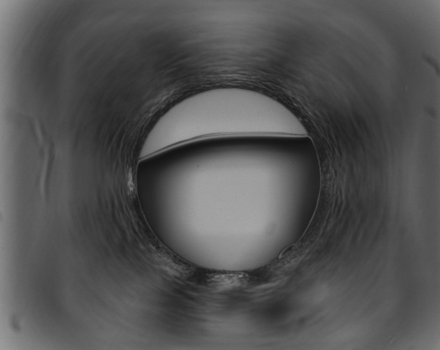 X0000094920089200711291032