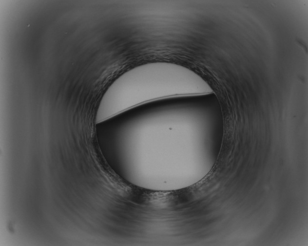 X0000094920090200711291032