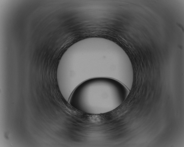 X0000094920091200711291032