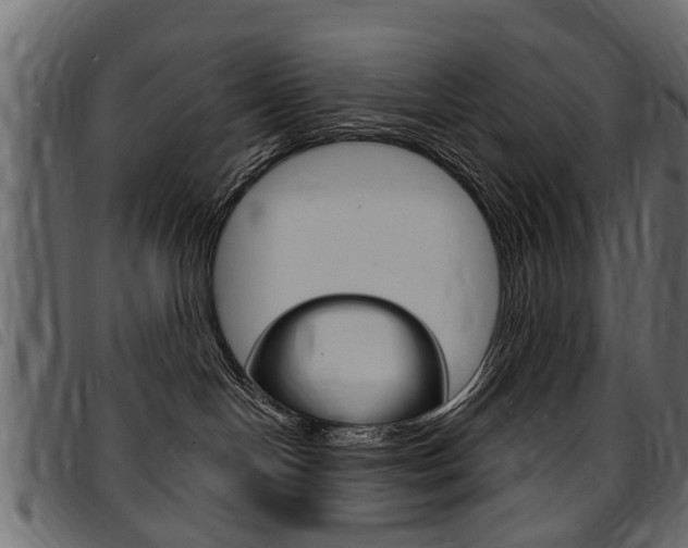 X0000094920094200711291032