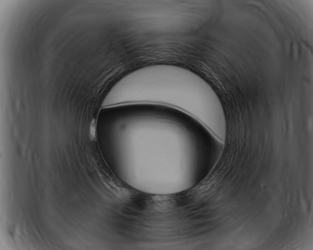 X0000094920095200711291032