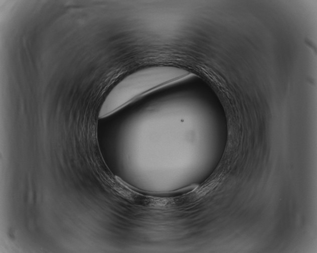 X0000094920096200711291032