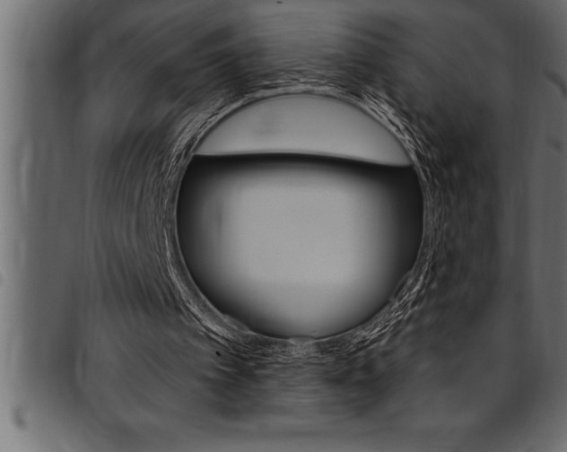 X0000094920097200711291032