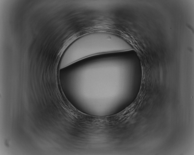 X0000094920099200711291032