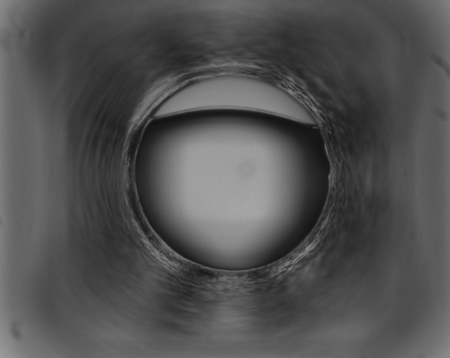 X0000094920101200711291032