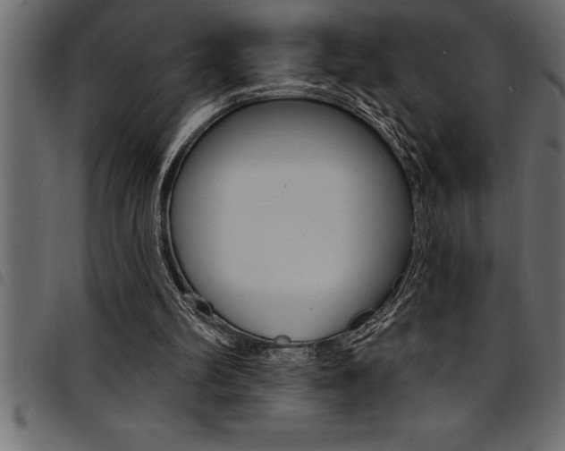 X0000094920102200711291032