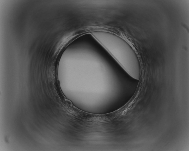 X0000094920103200711291032