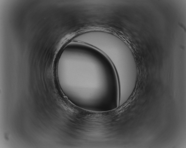 X0000094920104200711291032