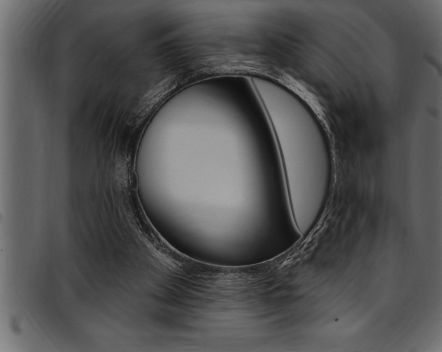 X0000094920105200711291032