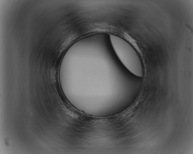 X0000094920106200711291032