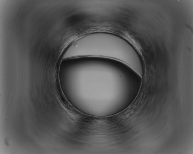 X0000094920107200711291032
