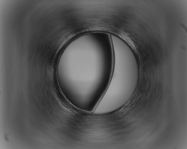 X0000094920108200711291032