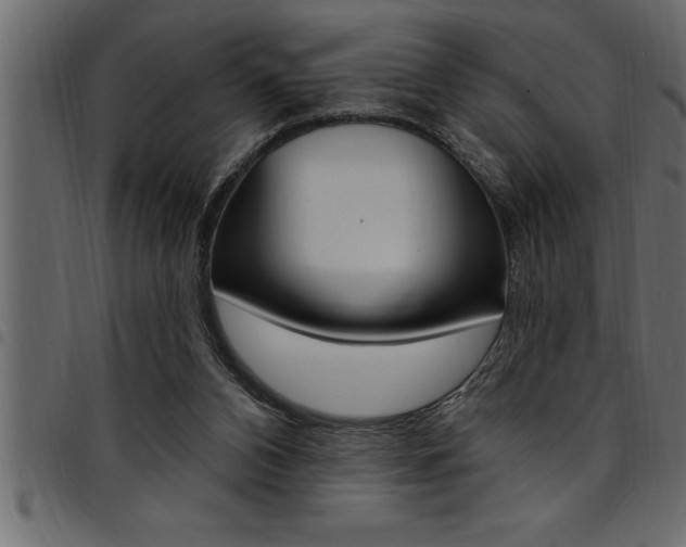 X0000094920112200711291032
