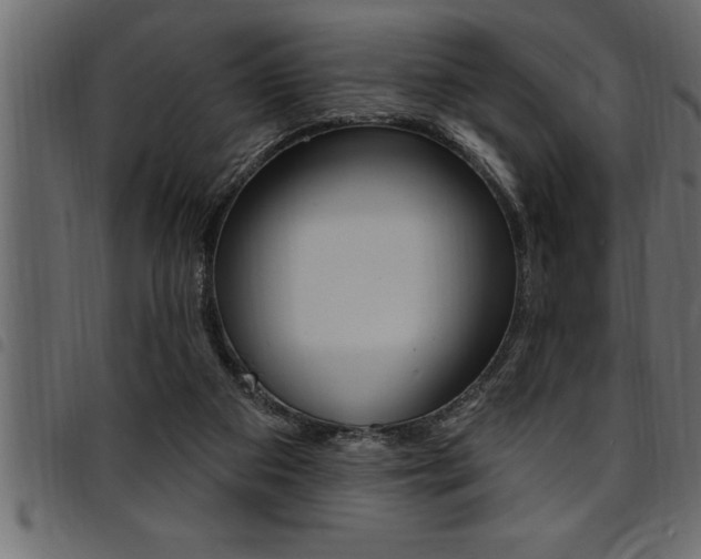 X0000094920113200711291032