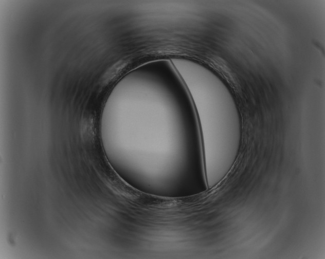 X0000094920116200711291032