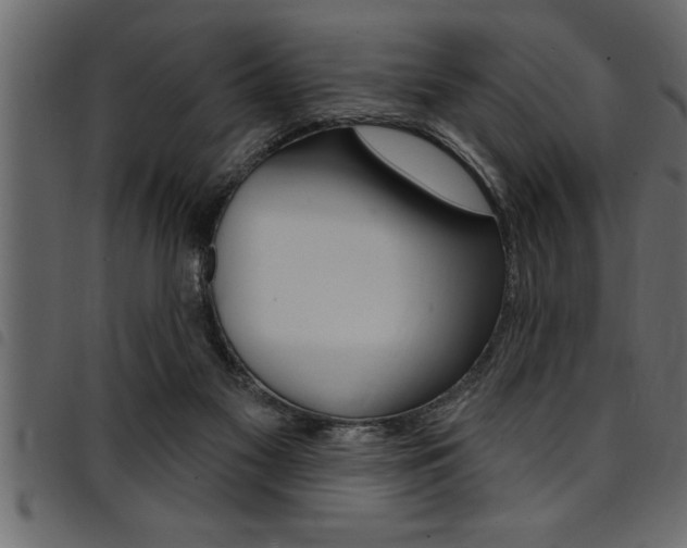 X0000094920117200711291031