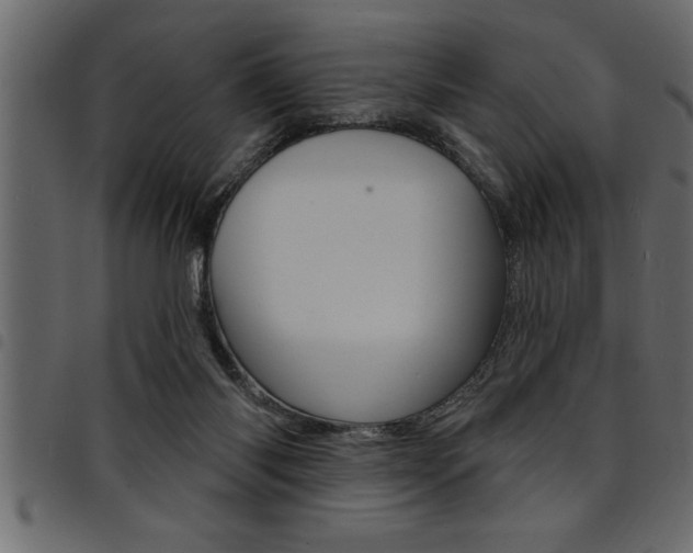 X0000094920118200711291031