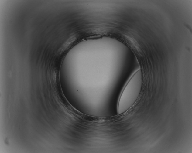 X0000094920120200711291031