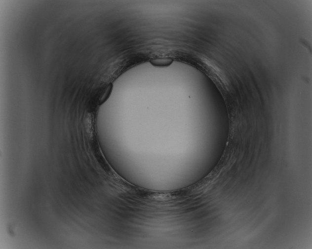 X0000094920121200711291031