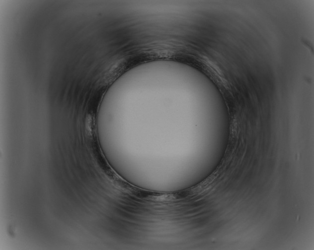 X0000094920122200711291031