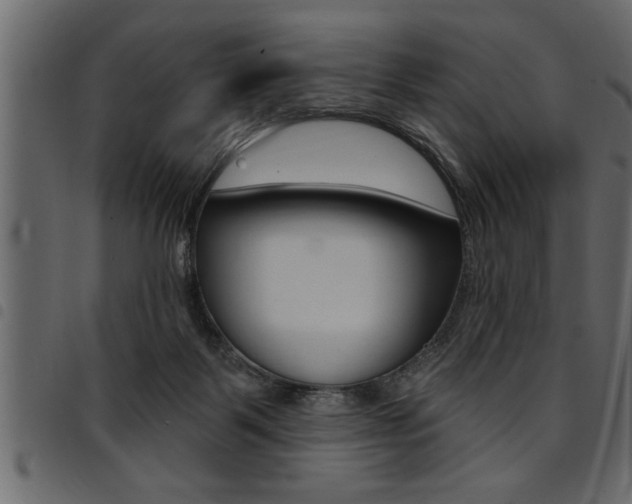 X0000094920123200711291031