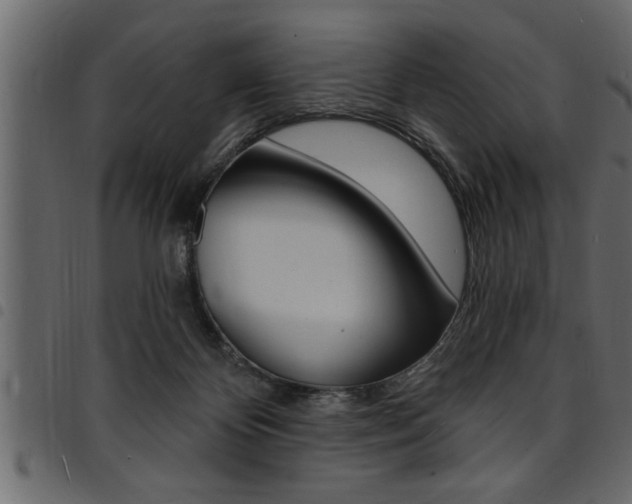 X0000094920124200711291031