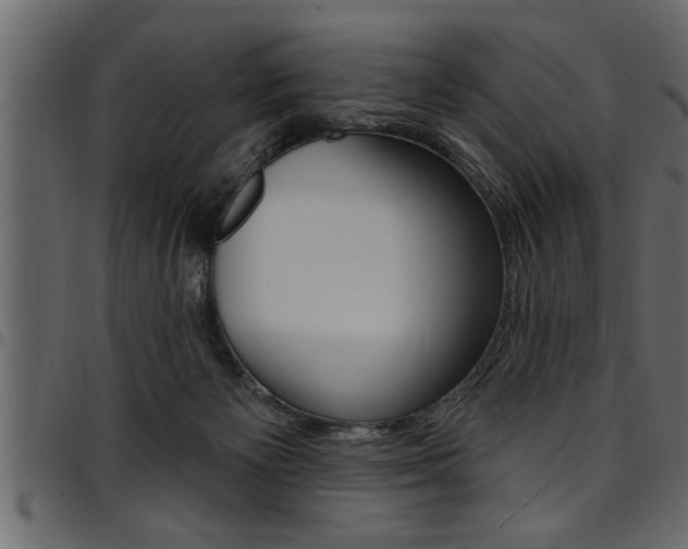 X0000094920125200711291031