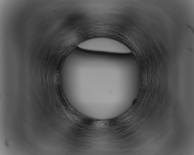 X0000094920126200711291031