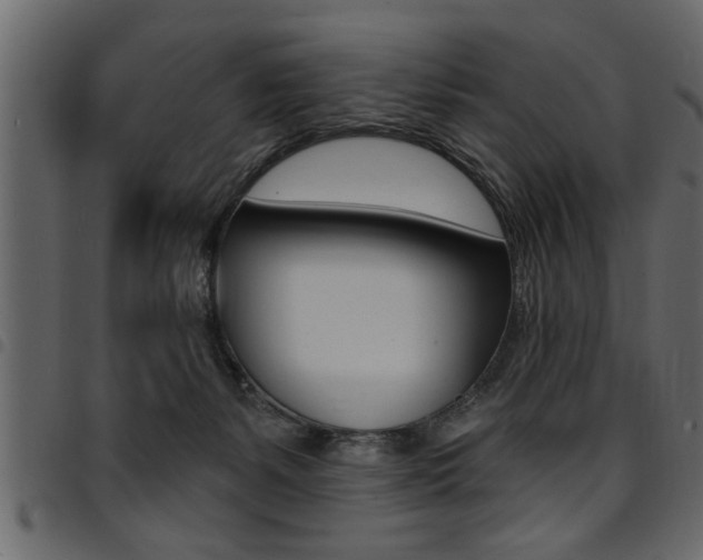 X0000094920127200711291031