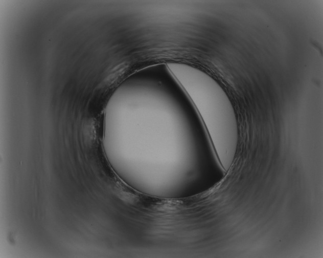 X0000094920128200711291031