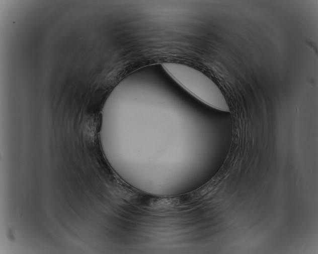 X0000094920129200711291031